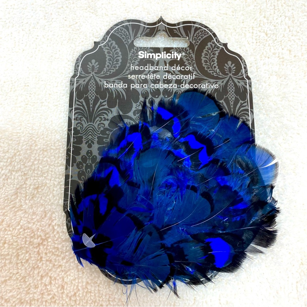 Simplicity Headband Decorative Feather Embellishment